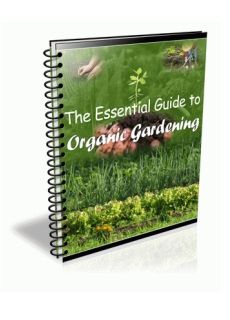 The Essential Guide to Organic Gardening - Click Image to Close