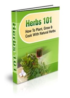 Herbs 101 - Click Image to Close