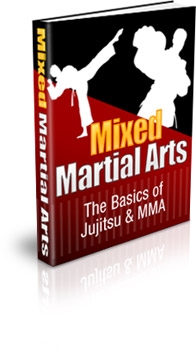 Mixed Martial Arts: The Basics of Jujitsu & MMA