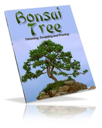 Bonsai Trees: Growing, Trimming, Sculpting & Pruning