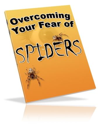 Overcoming Your Fear of Spiders - Click Image to Close