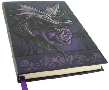 Dragon Beauty journal - Click Image to Close