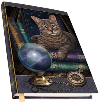 Fortune Teller journal - Click Image to Close