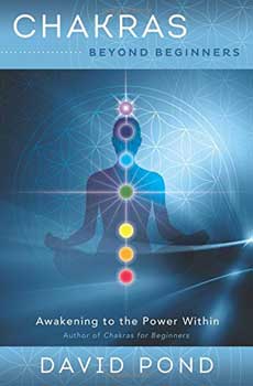 Chakras Beyond Beginners by David Pond - Click Image to Close