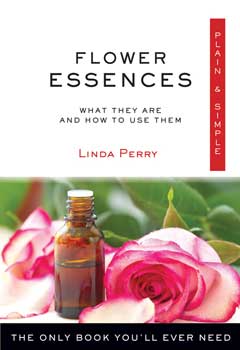 Flower Essences Plain & Simple by Linda Perry - Click Image to Close