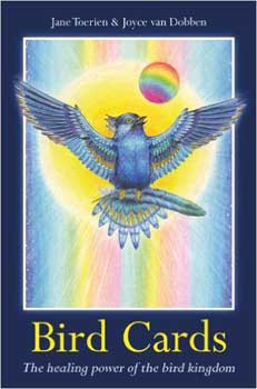 Bird cards