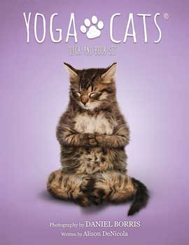 Yoga Cats tarot by Borris & DeNicola