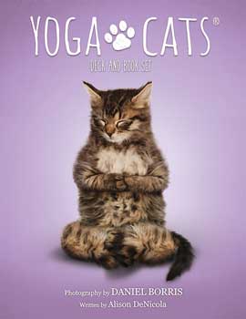 Yoga Cats tarot by Borris & DeNicola - Click Image to Close