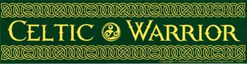 Celtic Warrior - Click Image to Close