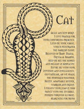 Cat Prayer - Click Image to Close