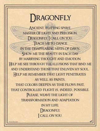Dragonfly - Click Image to Close