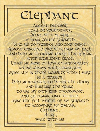 Elephant