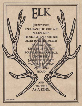Elk Prayer - Click Image to Close