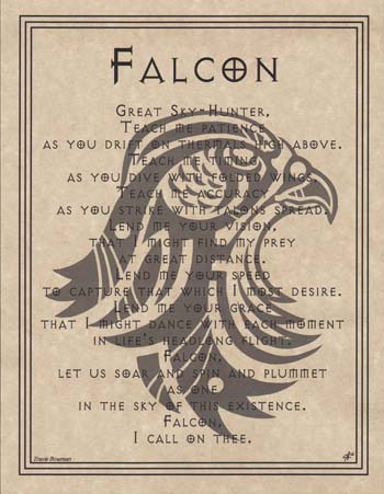 Falcon Prayer