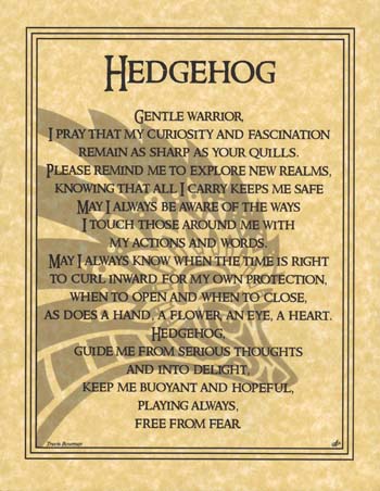 Hedgehog Prayer - Click Image to Close