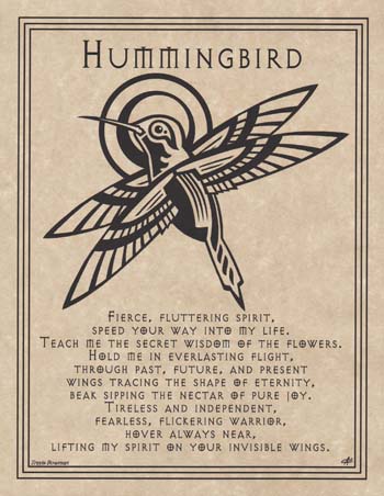 Hummingbird Prayer - Click Image to Close