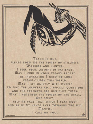 Mantis Prayer - Click Image to Close