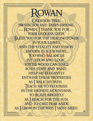 Rowan - Click Image to Close