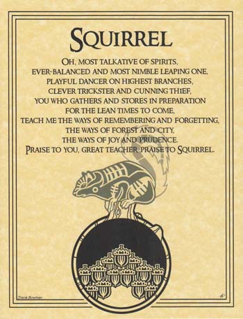 Squirrel Prayer - Click Image to Close