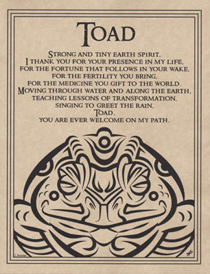 Toad Blessing - Click Image to Close