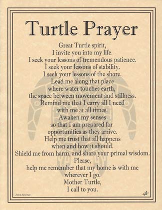 Turtle Prayer - Click Image to Close