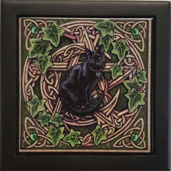 5" x 5" Pentagram Cat box
