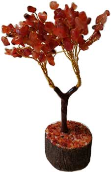 Carnelian gemstone tree - Click Image to Close