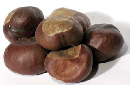 Buckeyes whole 1oz