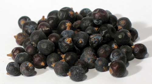 Juniper Berries whole 2oz - Click Image to Close