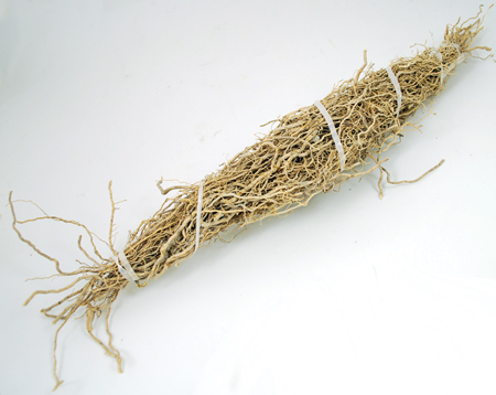 Patchouli Root 1 root bundle
