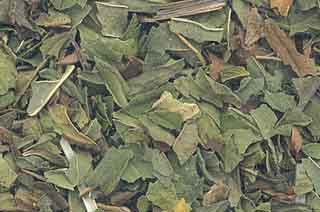 1 Lb Peppermint Leaf cut - Click Image to Close