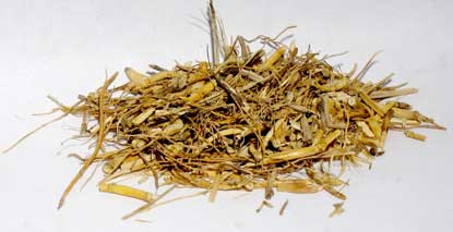 Witches Grass cut 1oz - Click Image to Close