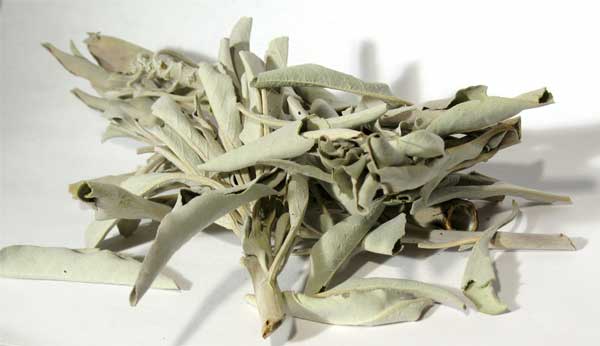 White Sage 1oz