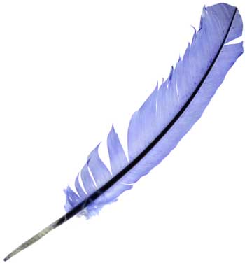 Blue feather - Click Image to Close