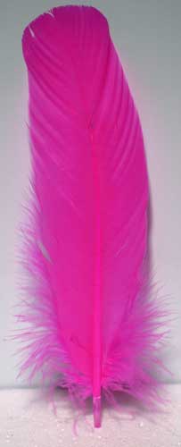 Pink feather - Click Image to Close
