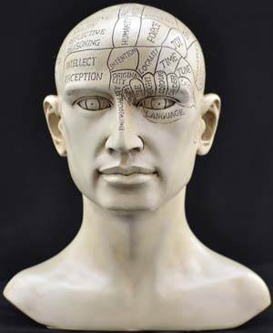 Phrenology Head - Click Image to Close