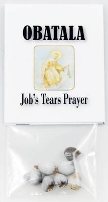 Job's Tears - Click Image to Close