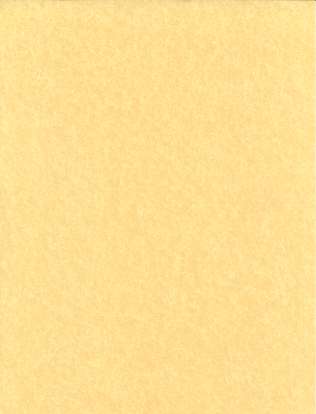 25pk 8 1/2"x11" light parchment - Click Image to Close