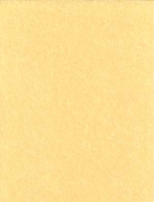 5pk 8 1/2"x11" light parchment - Click Image to Close
