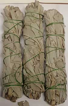 White Sage smudge 3pk 3"