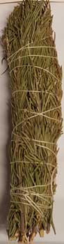 Rosemary smudge stick 8" - Click Image to Close