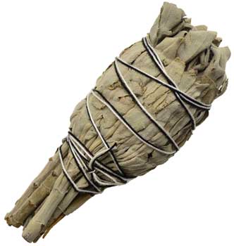 California White Sage smudge 4" - Click Image to Close