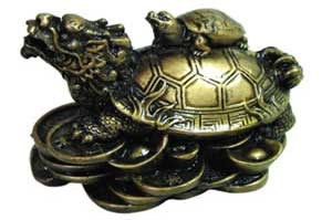 Money Turtle 2 1/2" - Click Image to Close