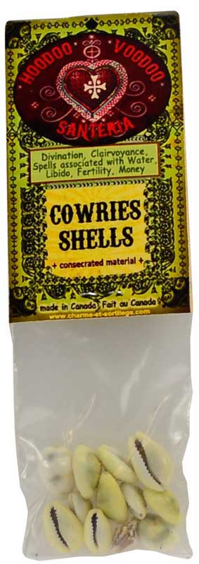 Cowries Shells (Coquilles Cauries) - Click Image to Close